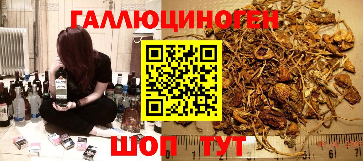 Галлюциногенные грибы мицелий  Вход с VPN  Псилоцибиновые грибы прущие грибы  Ачхой-Мартан 