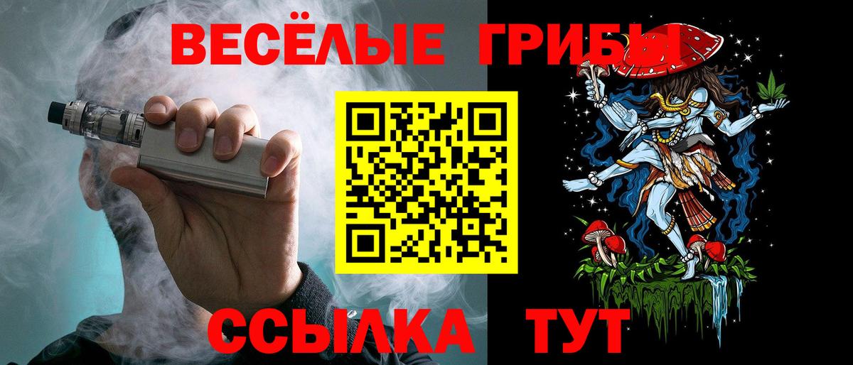 Псилоцибиновые грибы мицелий Ачхой-Мартан
